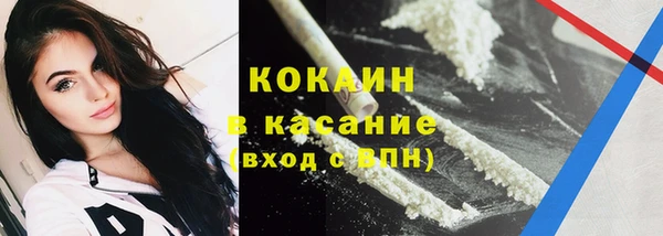 твердый Касимов