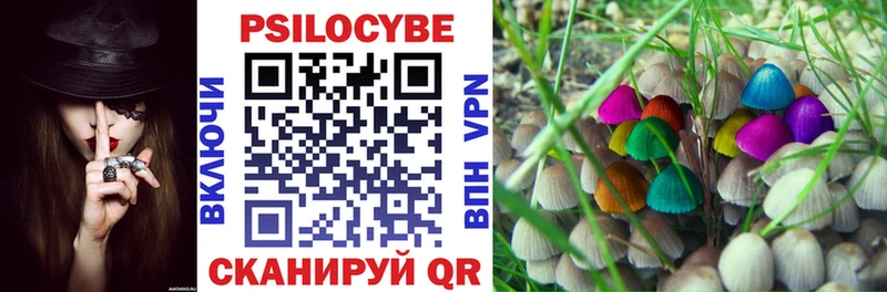 Галлюциногенные грибы прущие грибы  Купить закладки  Качканар 